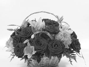 basket, roses, lilies, flowers