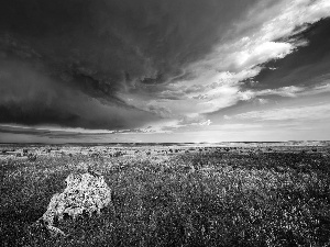 trees, viewes, field, Lod on the beach, clouds