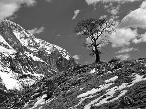 lonely, trees, Mountains, clouds, winter