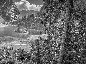 ligh, Mountains, Lake Hinterstockensee, flash, forest, Switzerland, Bernese Alps, luminosity, sun, Island