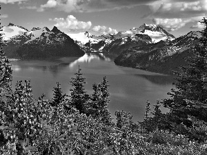 Mountains, Flowers, Lupin, lake