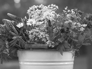 lupine, bucket, Wildflowers, bouquet, Flowers