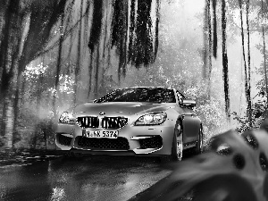 Bmw M6 GranCoupe