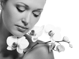 orchids, Women, make-up