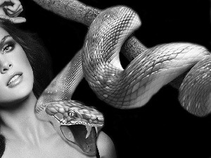 Snake, Women, make-up