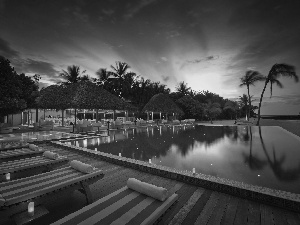 Pool, Maldives, Palms, holiday, deck chair, Restaurant