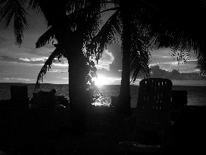 sea, Great Sunsets, Maldives, Palms