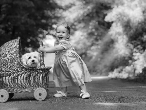 dress, girl, dog, Maltese, trolley, Blue