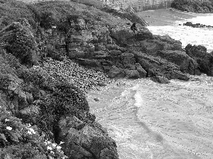 Waves, Coast, a man, angler, Flowers, rocks