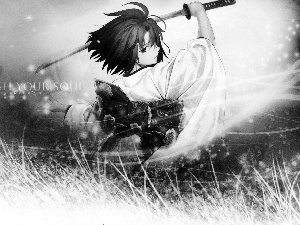 Kara no Kyoukai, Japanese, Manga