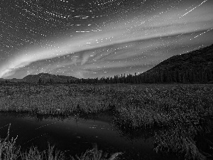 Mountains, viewes, marshland, trees