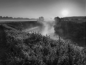 Meadow, Fog, east, sun, River