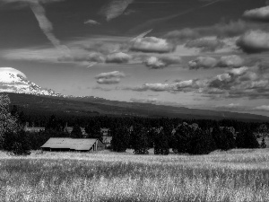 Meadow, forest, clouds, cottage, mountains