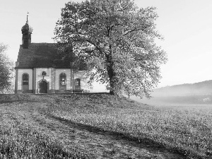 Meadow, Germany, trees, viewes, chapel