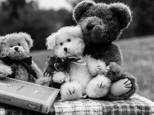 Meadow, Park, Bears, Book, Stuffed Animals