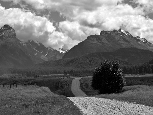 Meadow, Mountains, Way