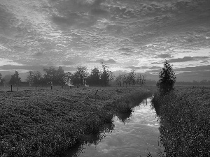 west, clouds, Meadow, sun