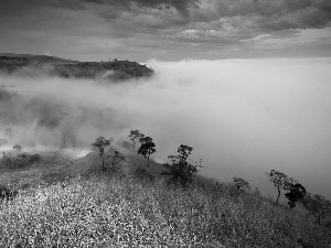 medows, Fog, Mountains