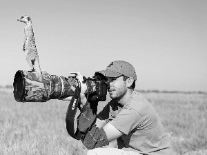 Meerkat, Meadow, photographer, objective, a man