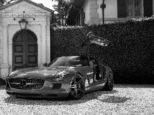 Red, Gate, hedge, Mercedes-Benz SLS AMG