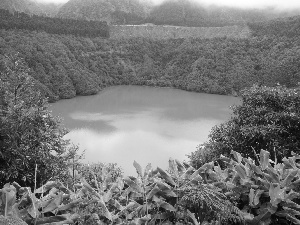 Mountains, lake, Sao Miguel, Portugal, Flowers, forested