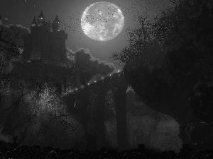 moon, Night, Castle