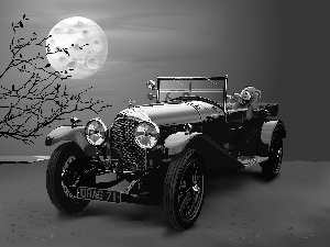 Chevrolet, teddy bear, moon, Twigs