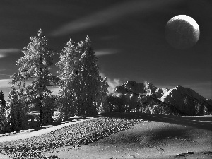 trees, Night, moon, snow, viewes, Mountains