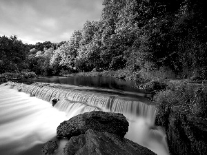 forest, rocks, Moss, waterfall