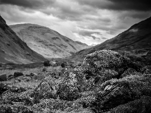 Moss, Mountains, Stones