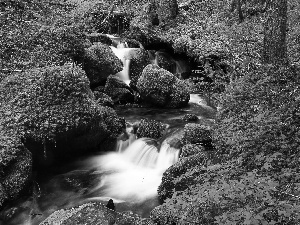 forest, River, Moss, waterfall, Stones, stream