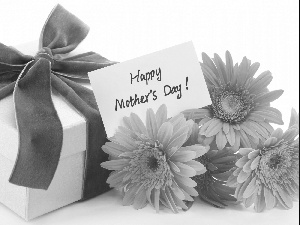 Gift, day, Mother, Flowers