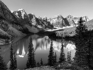 woods, Banff National Park, Spruces, Mountains, Canada, Lake Moraine, reflection