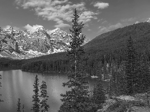 Spruces, lake, forest, Province of Alberta, trees, Mountains, Moraine Lake, Canada, Banff National Park, viewes