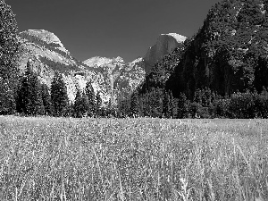 The United States, Yosemite National Park, Mountains, State of California