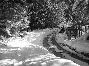 forest, winter, Mountains, stream