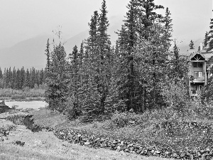 Mountains, house, stream, Stones, forest