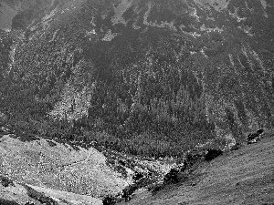 Poland, slope, Mountains, carpathians