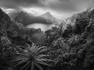 Mountains, Tasmania, Lake Oberon, Southwest National Park, Australia, rocks, Plants