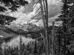 viewes, lake, woods, Mountains, Spruces, trees