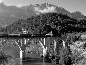 Mountains, woods, bridge, Train, River