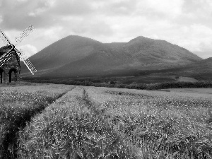 Mountains, woods, field, corn, Windmill