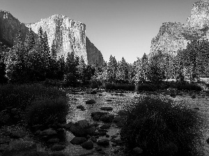 Sierra Nevada Mountains, State of California, Valley, Yosemite National Park, The United States, forest, rivers