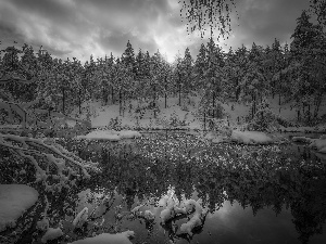 winter, Pond - car, viewes, Ringerike Municipality, Norway, trees, snow