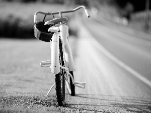 Bike, basket, Mushrooming, Way