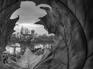 lake, Mushrooms, House, ruin, leaf