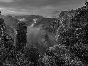 trees, viewes, Germany, Plants, Saxon Switzerland National Park, rocks, Mountains, Fog