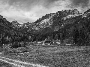 Julian Alps Mountains, Way, Slovenia, trees, Houses, Triglav National Park, Zadnja Trenta Valley, viewes