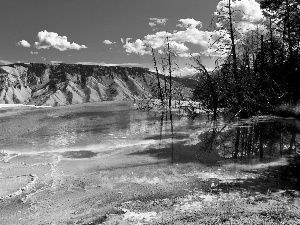 viewes, Mountains, Montana, trees, lake, National Park, Canada