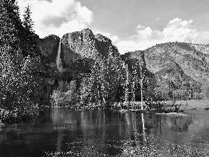 Yosemite National Park, The United States, River, forest, Mountains, State of California